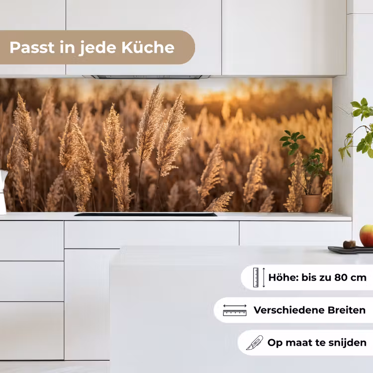 Rietpluimen - Gras - Zonsondergang - Goud - Serene keuken achterwand 2 middel -sfeer4_DE