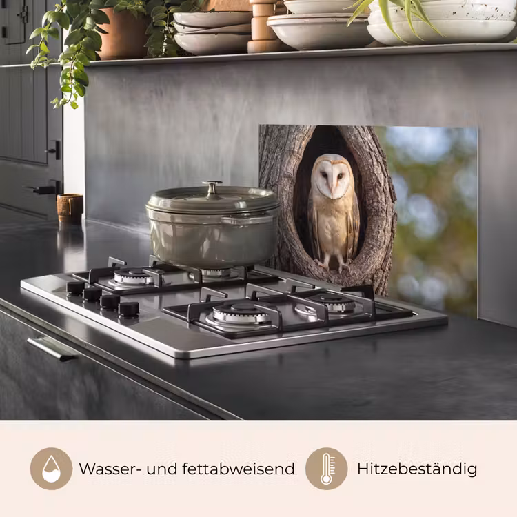 Kerkuil - Boom - Natuur - Bruin keuken achterwand spatscherm klein -usp_DE