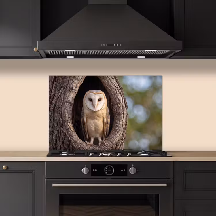 Kerkuil - Boom - Natuur - Bruin keuken achterwand spatscherm klein -sfeer1