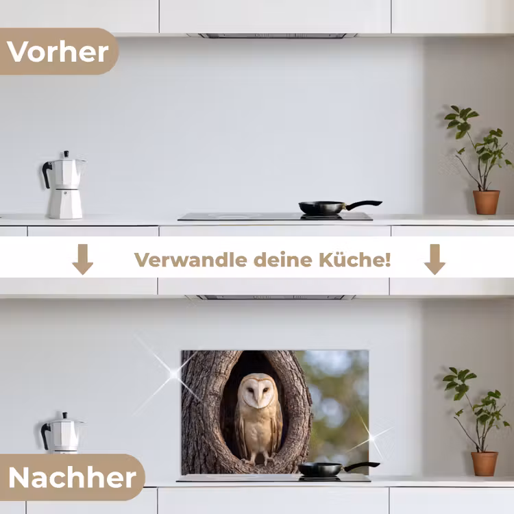 Kerkuil - Boom - Natuur - Bruin keuken achterwand spatscherm klein -voor_na_DE