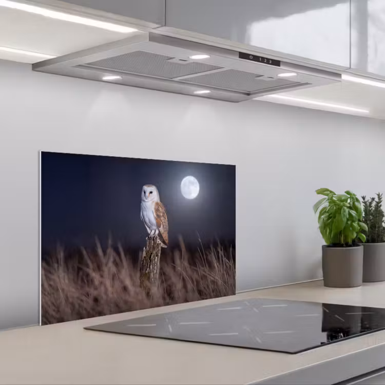 Kerkuil - Maan - Nacht keuken achterwand spatscherm klein -3d_schuin