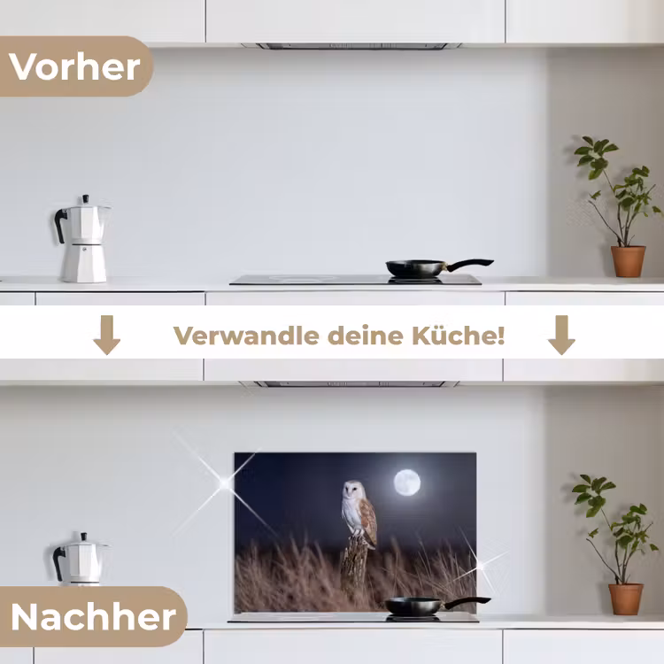 Kerkuil - Maan - Nacht keuken achterwand spatscherm klein -voor_na_DE