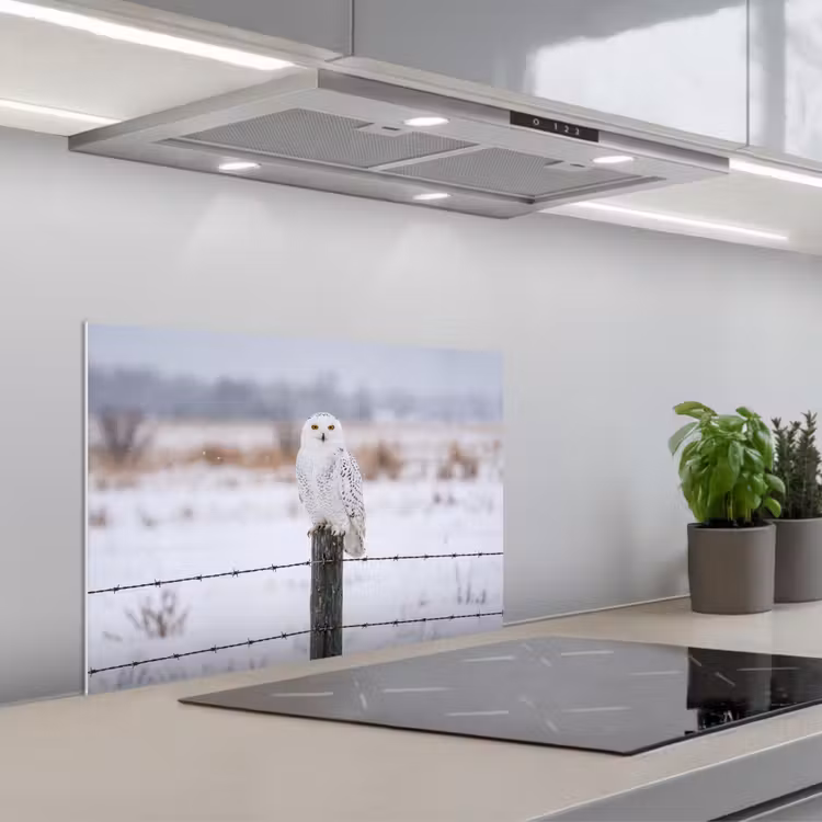 Sneeuwuil - Hek - Sneeuw - Wit keuken achterwand spatscherm klein -3d_schuin