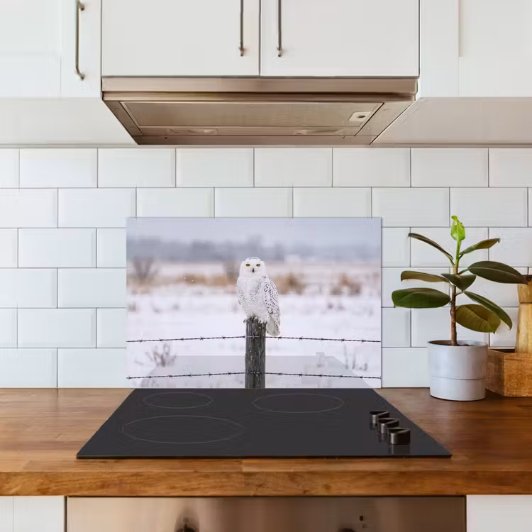 Sneeuwuil - Hek - Sneeuw - Wit keuken achterwand spatscherm klein -sfeer2