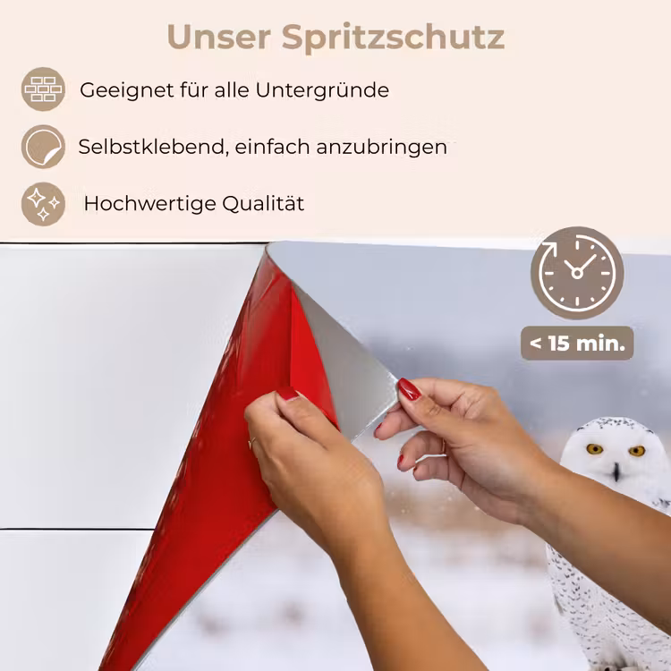 Sneeuwuil - Hek - Sneeuw - Wit keuken achterwand spatscherm klein -spatscherm_DE