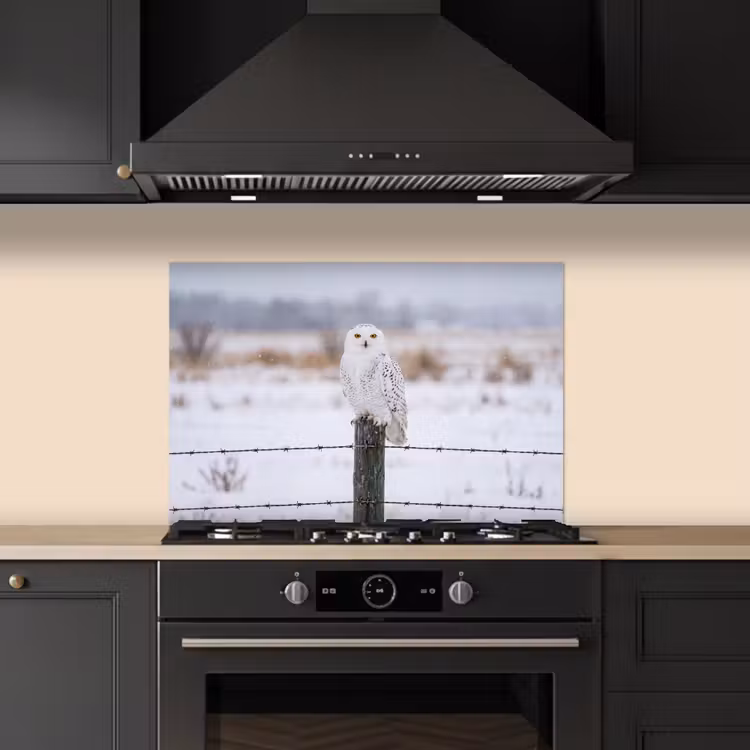 Sneeuwuil - Hek - Sneeuw - Wit keuken achterwand spatscherm klein -sfeer1