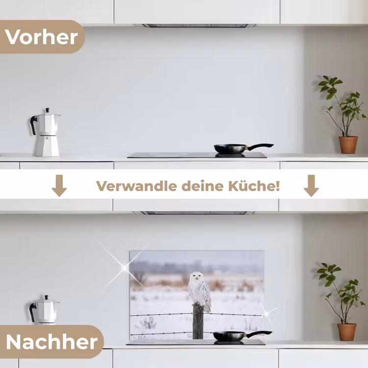 Sneeuwuil - Hek - Sneeuw - Wit keuken achterwand spatscherm klein -voor_na_DE