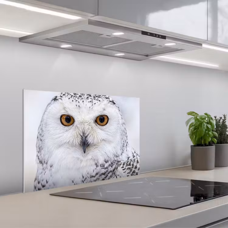 Sneeuwuil - Oog - Wildlife - Wit keuken achterwand spatscherm klein -3d_schuin