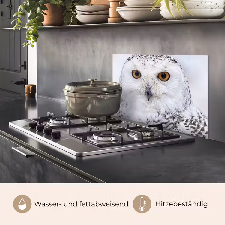 Sneeuwuil - Oog - Wildlife - Wit keuken achterwand spatscherm klein -usp_DE