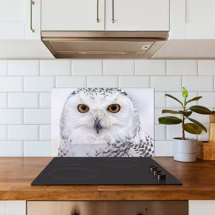 Sneeuwuil - Oog - Wildlife - Wit keuken achterwand spatscherm klein -sfeer2