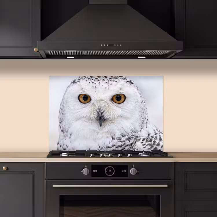Sneeuwuil - Oog - Wildlife - Wit keuken achterwand spatscherm klein -sfeer1