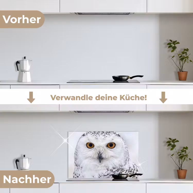 Sneeuwuil - Oog - Wildlife - Wit keuken achterwand spatscherm klein -voor_na_DE