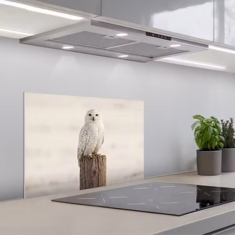 Sneeuwuil - Paal - Winter - Portret - Majestueus keuken achterwand spatscherm klein -3d_schuin