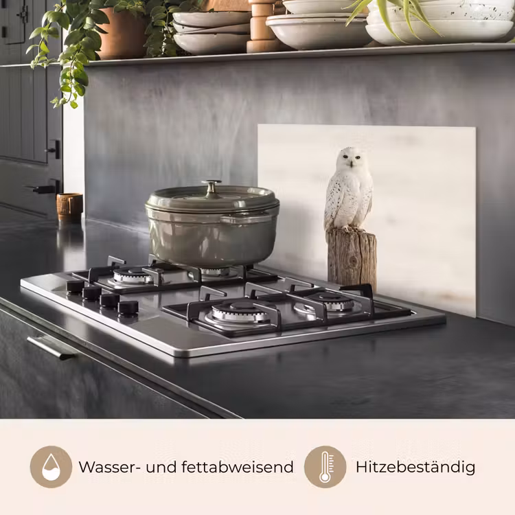 Sneeuwuil - Paal - Winter - Portret - Majestueus keuken achterwand spatscherm klein -usp_DE