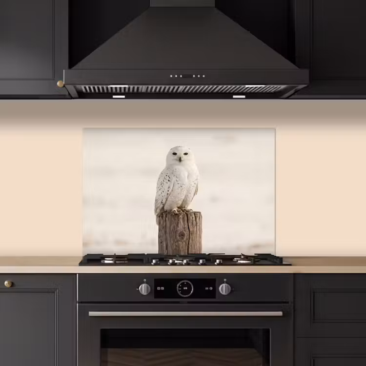 Sneeuwuil - Paal - Winter - Portret - Majestueus keuken achterwand spatscherm klein -sfeer1