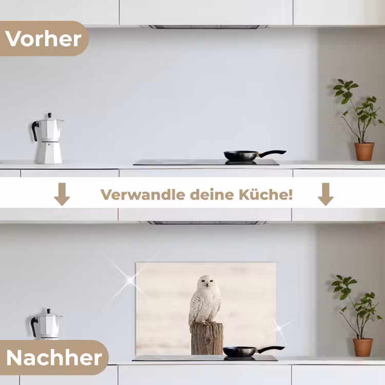Sneeuwuil - Paal - Winter - Portret - Majestueus keuken achterwand spatscherm klein -voor_na_DE