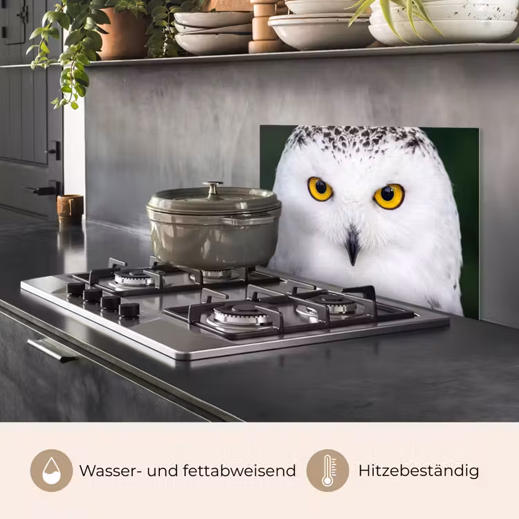 Sneeuwuil - Portret - Geel keuken achterwand spatscherm klein -usp_DE