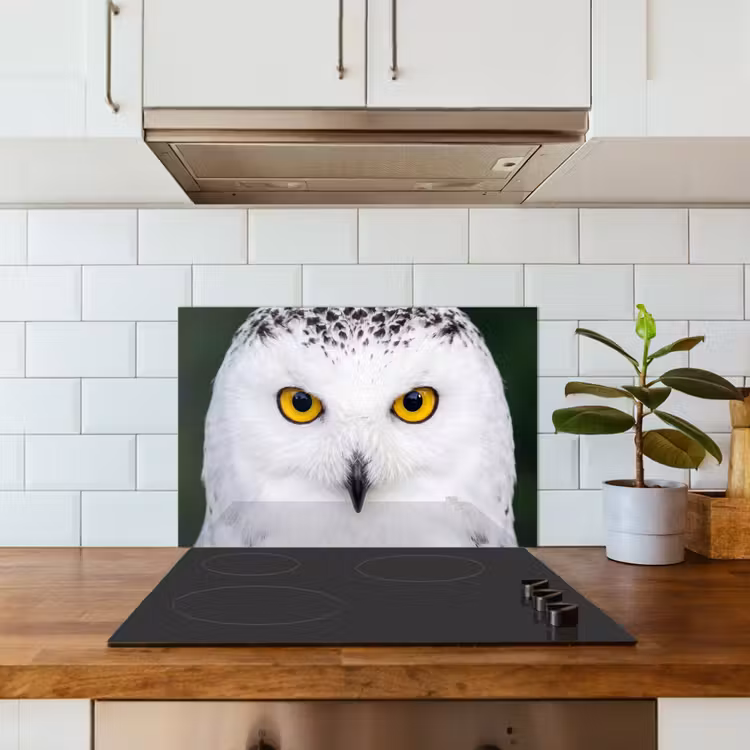 Sneeuwuil - Portret - Geel keuken achterwand spatscherm klein -sfeer2