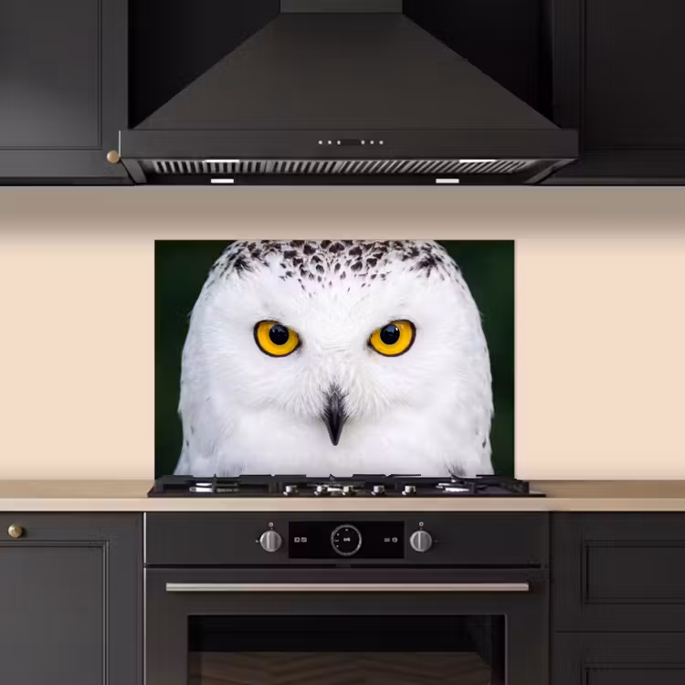 Sneeuwuil - Portret - Geel keuken achterwand spatscherm klein -sfeer1