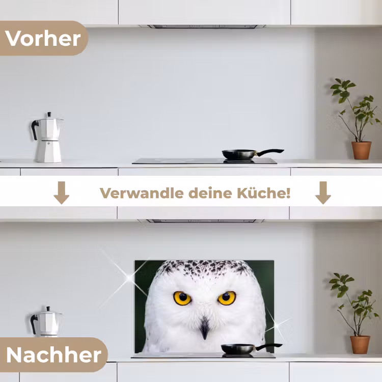 Sneeuwuil - Portret - Geel keuken achterwand spatscherm klein -voor_na_DE