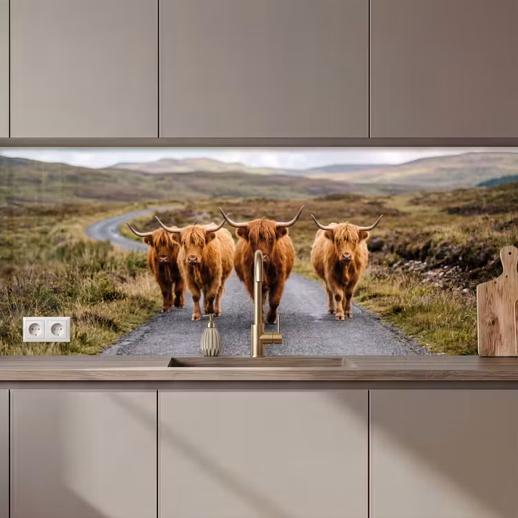 Schotse Hooglanders - Weg - Landschap - Kudde keuken achterwand 2 middel zz_3dshopping