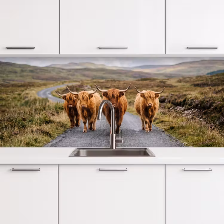Schotse Hooglanders - Weg - Landschap - Kudde keuken achterwand 2 middel -3d