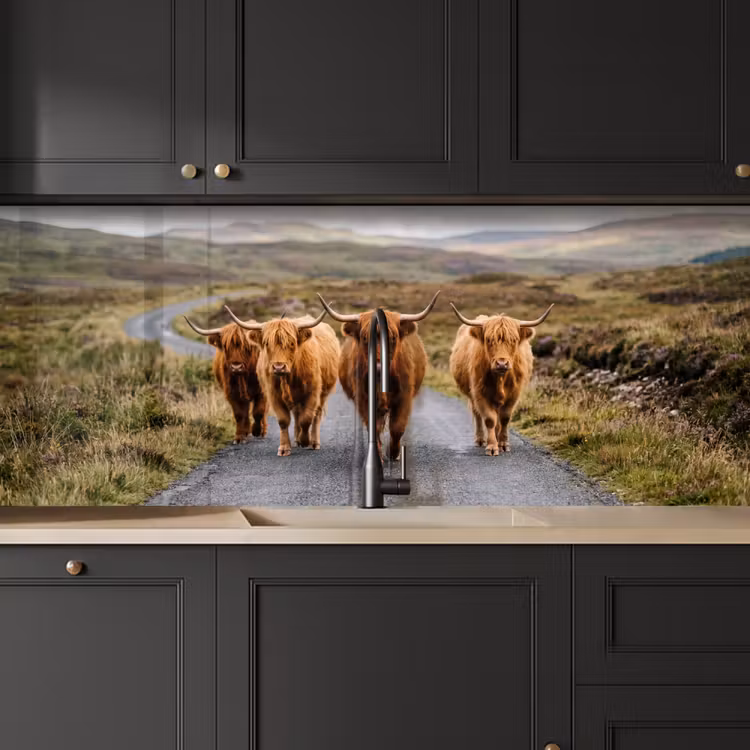 Schotse Hooglanders - Weg - Landschap - Kudde keuken achterwand 2 middel -sfeer1