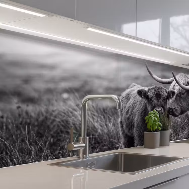 Schotse hooglander - Kalf - Zwart - Wit keuken achterwand 2 middel -3d_schuin