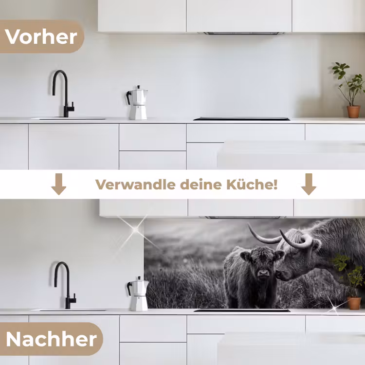 Schotse hooglander - Kalf - Zwart - Wit keuken achterwand 2 middel -voor-na_DE