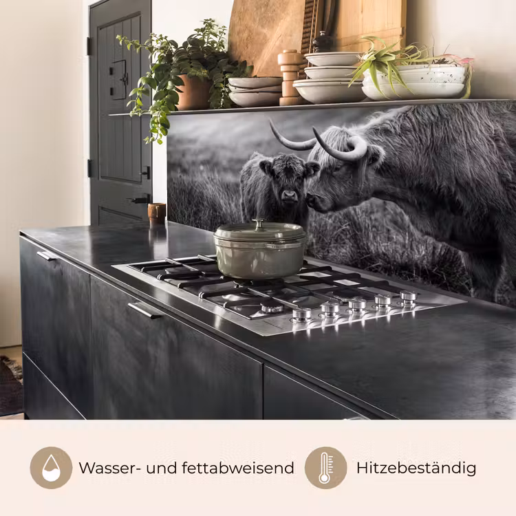 Schotse hooglander - Kalf - Zwart - Wit keuken achterwand 2 middel -usp_DE
