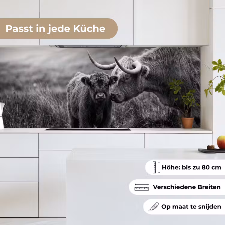 Schotse hooglander - Kalf - Zwart - Wit keuken achterwand 2 middel -sfeer4_DE