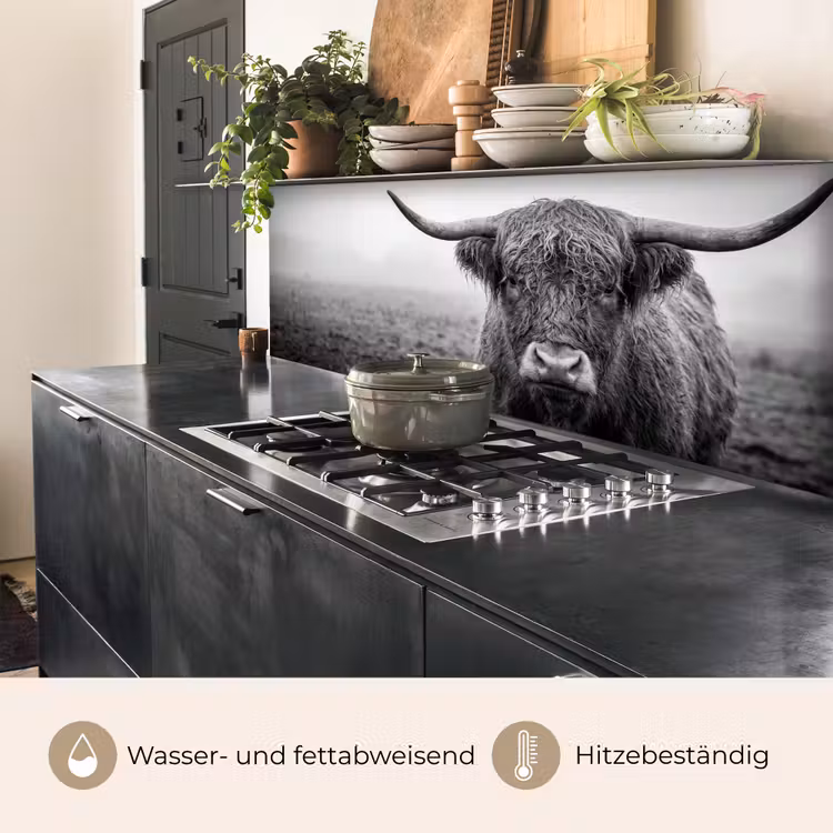Schotse hooglander - Zwart - Wit - Gras keuken achterwand 2 middel -usp_DE