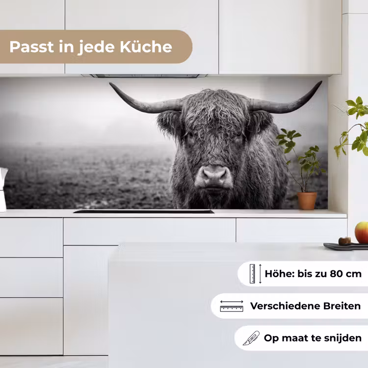 Schotse hooglander - Zwart - Wit - Gras keuken achterwand 2 middel -sfeer4_DE