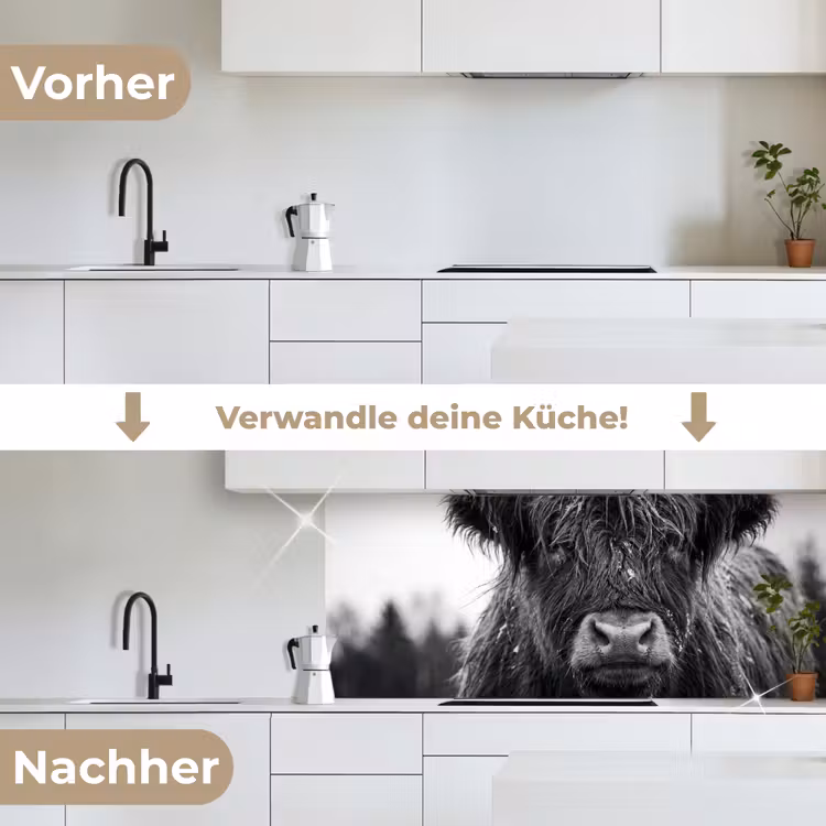 Schotse hooglander - Zwart - Wit - Sneeuwvlokken keuken achterwand 2 middel -voor-na_DE