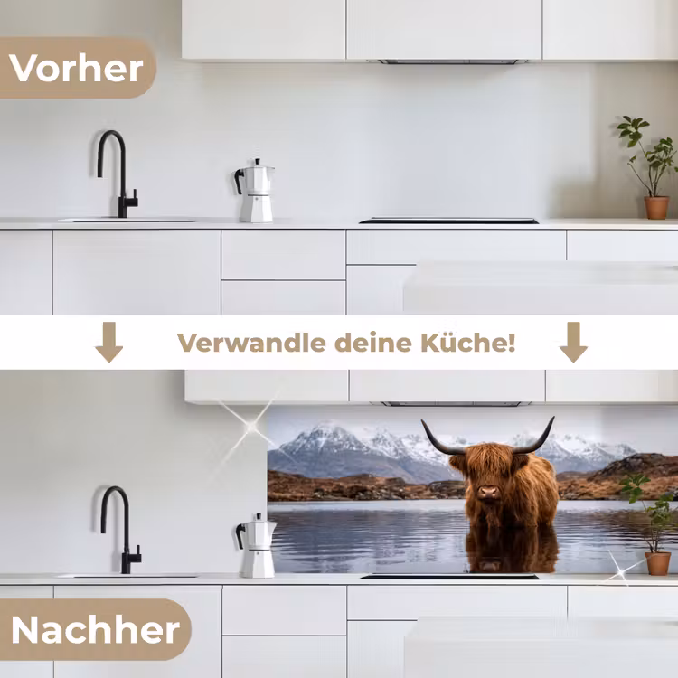 Schotse hooglander - Bruin - Water keuken achterwand 2 middel -voor-na_DE