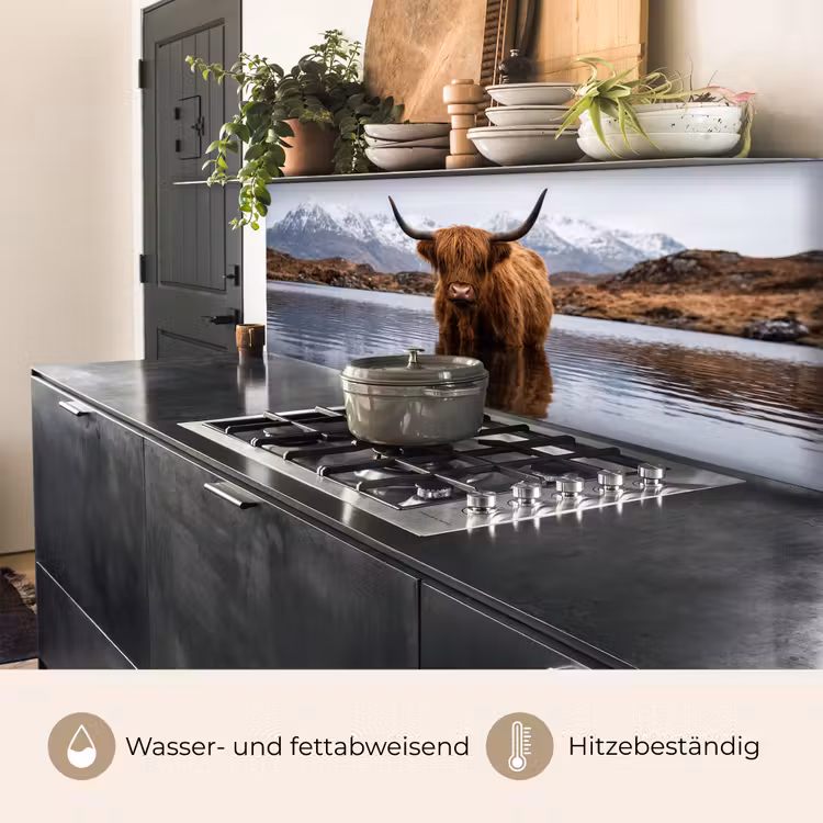 Schotse hooglander - Bruin - Water keuken achterwand 2 middel -usp_DE