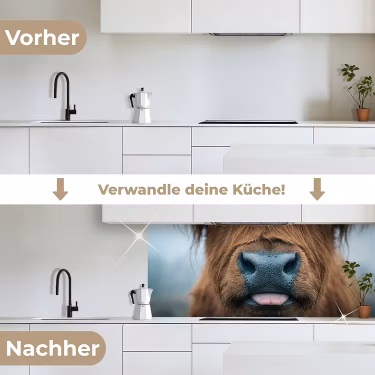 Schotse hooglander - Neus - Bruin keuken achterwand 2 middel -voor-na_DE