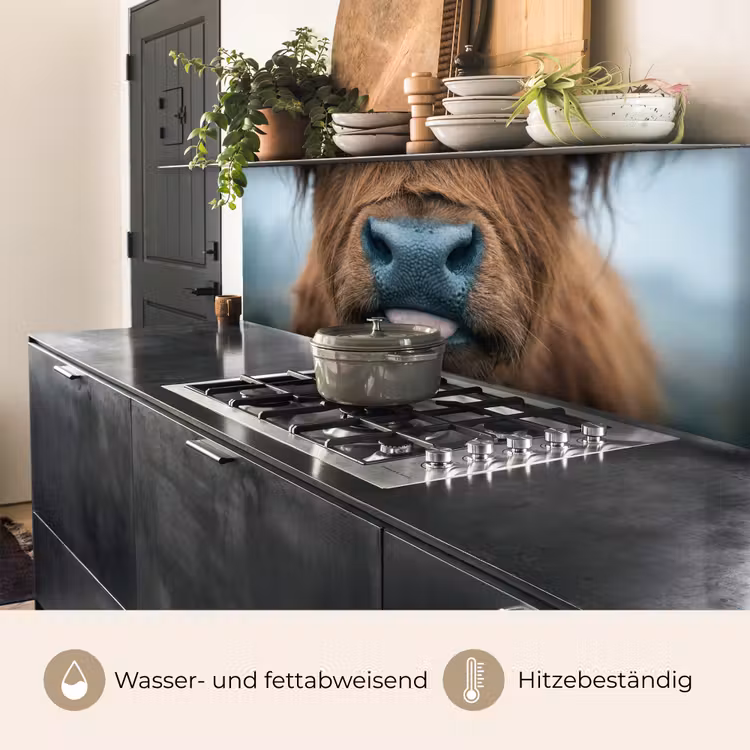 Schotse hooglander - Neus - Bruin keuken achterwand 2 middel -usp_DE