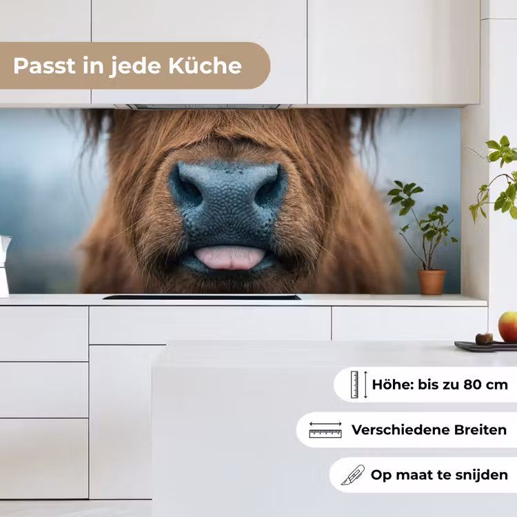 Schotse hooglander - Neus - Bruin keuken achterwand 2 middel -sfeer4_DE