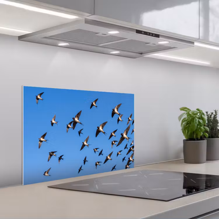 Zwaluwen - Vliegen - Blauw keuken achterwand spatscherm klein -3d_schuin