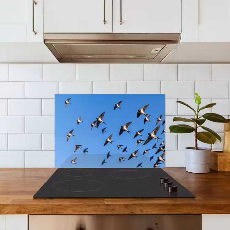 Zwaluwen - Vliegen - Blauw keuken achterwand spatscherm klein -sfeer2