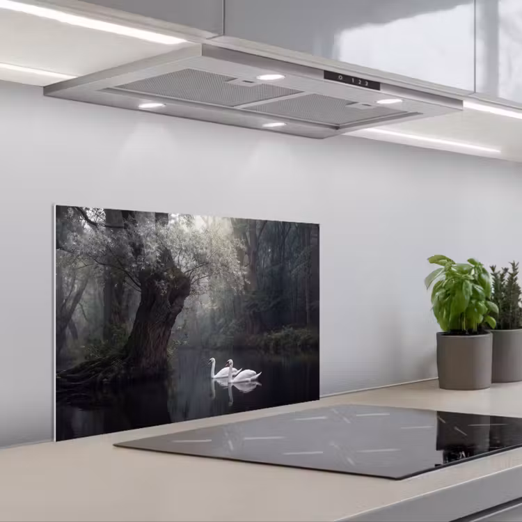 Zwanen - Rivier - Bos keuken achterwand spatscherm klein -3d_schuin