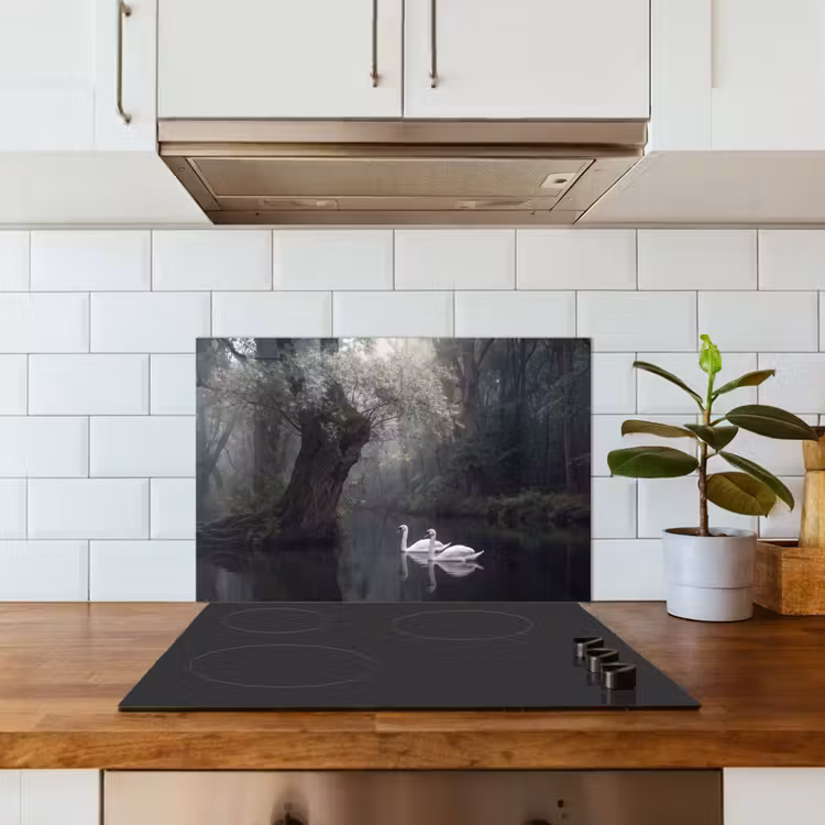 Zwanen - Rivier - Bos keuken achterwand spatscherm klein -sfeer2