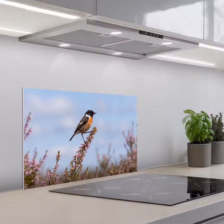 Roodborsttapuit - Heide - Paars - Natuur - Sfeervol keuken achterwand spatscherm klein -3d_schuin