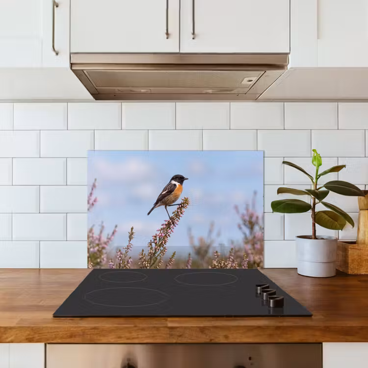 Roodborsttapuit - Heide - Paars - Natuur - Sfeervol keuken achterwand spatscherm klein -sfeer2