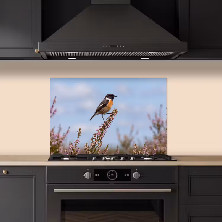 Roodborsttapuit - Heide - Paars - Natuur - Sfeervol keuken achterwand spatscherm klein -sfeer1