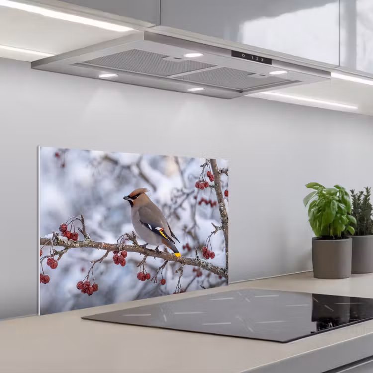 Pestvogel - Bessen - Winter - Natuur keuken achterwand spatscherm klein -3d_schuin