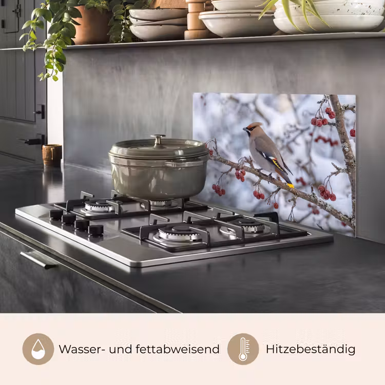 Pestvogel - Bessen - Winter - Natuur keuken achterwand spatscherm klein -usp_DE