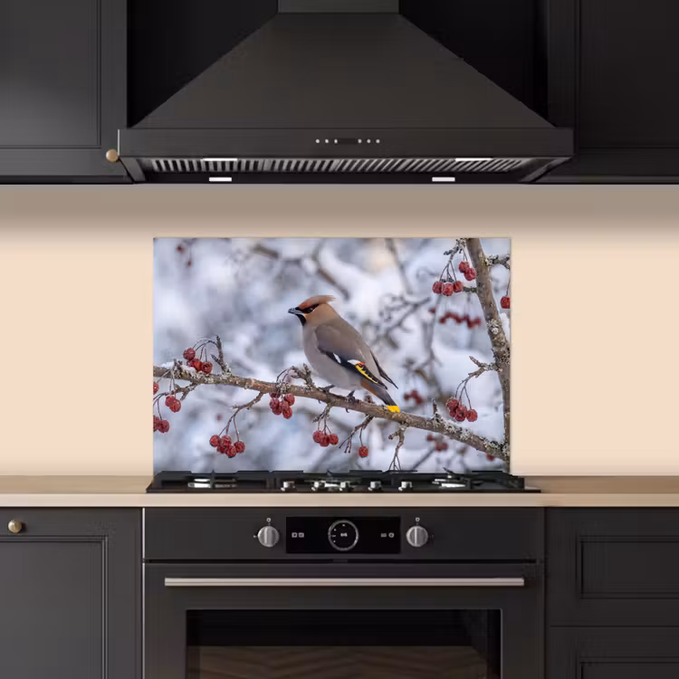 Pestvogel - Bessen - Winter - Natuur keuken achterwand spatscherm klein -sfeer1