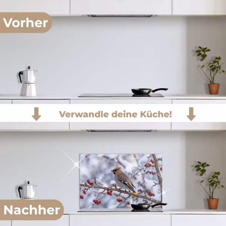 Pestvogel - Bessen - Winter - Natuur keuken achterwand spatscherm klein -voor_na_DE